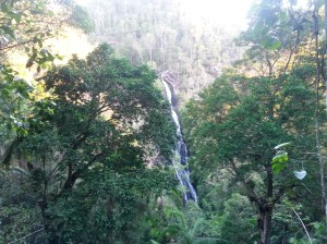 When I took this photo I thought: the waterfall is time itself in a way, flowing uninterrupted and indifferent to what the world around it is doing